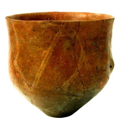 cupă