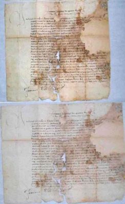 document; Ioan Sigismund se intitulează rege al Ungariei