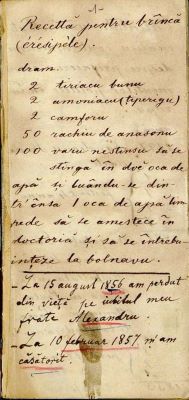 manuscris - Mărturii scrise de prof. și filologul Constantin Canela, din Buzău; Carnet de însemnări ce a aparținut lui Constantin Canela, 1856-1857