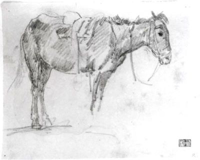 grafică - Grigorescu, Nicolae; Studiu de cal