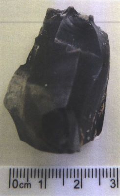 Nucleus epuise, cortical