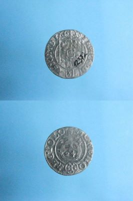 poltură 1624