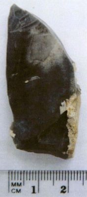 Burin caréné