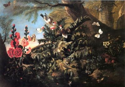 pictură - Purgau, Franz Michael Siegmund von; Natură moartă cu broască; pandant: Natură moartă cu năpârcă