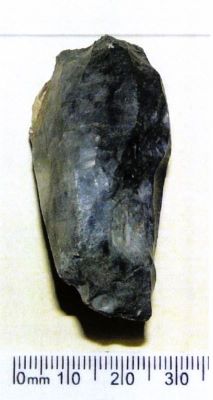 Nucleus de lamelles