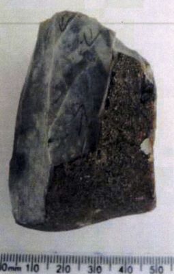 Nucleus