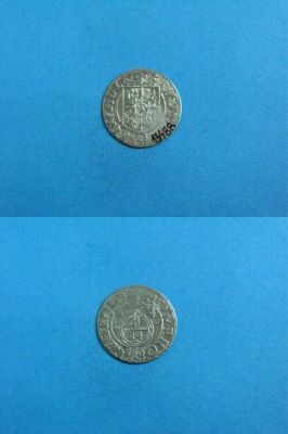 poltură 1624