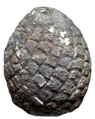 con de pin decorativ; con de pin (nux pinea)