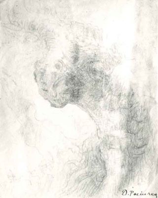 desen - Paciurea, Dimitrie; Himere
