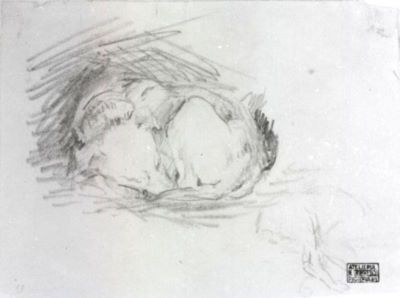 grafică - Grigorescu, Nicolae; Studiu de câine lup