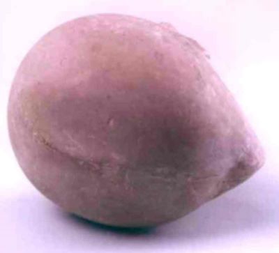 sculptură - Brâncuși, Constantin; Prometeu (Cap de copil)