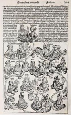 carte - Schedel, Hartmann; Georg Alt, trad.; Liber chronicarum