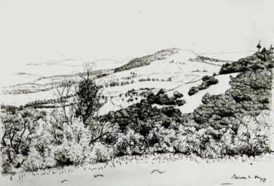 desen - Berea, Dimitrie; Peisaj