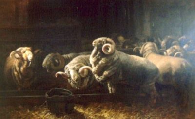 pictură - Pállik, Béla; Berbeci la stână