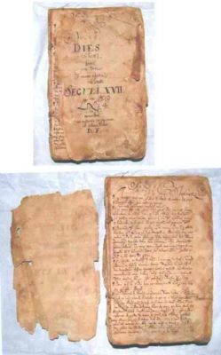 jurnal - Fronius, Daniel; Nulla Dies si licet (...)