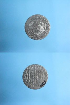 poltură 1624