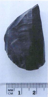 Nucleus à lamelles