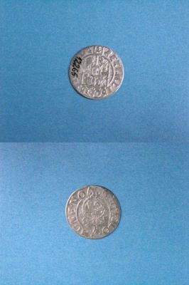 poltură 1623