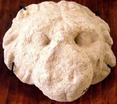 bătător de ușă