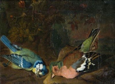 pictură - Purgau (Burgau), P(hilipp) Johann (?); Pițigoi și cintezoi