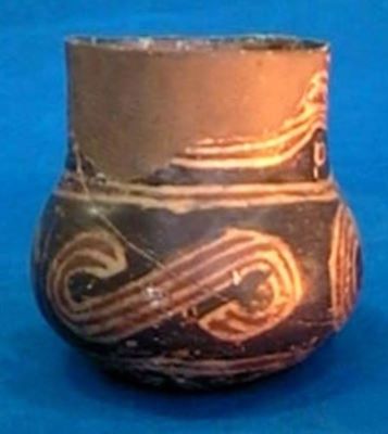 cupă