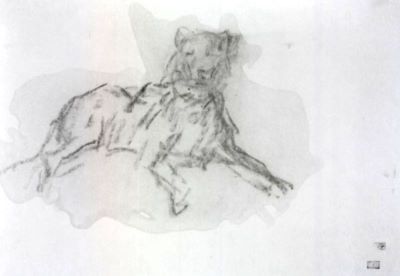 grafică - Grigorescu, Nicolae; Studiu de câine