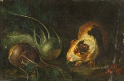 pictură - Graffenstein, Franz Anton; Cobai și varză