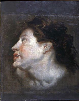 pictură de șevalet - Dyck, Anton van; Cap de femeie (studiu)