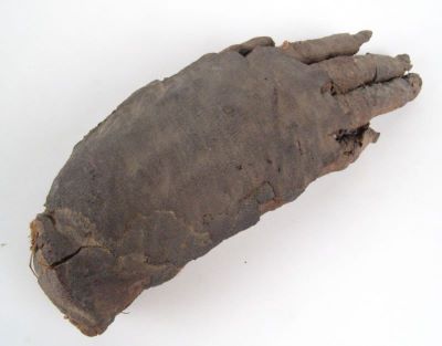 organ mumificat; mâna dreaptă mumificată