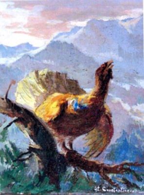 grafică - Constantinescu, Ștefan; Cocoș de munte, ilustrație la „Raiul” de Mihail Sadoveanu