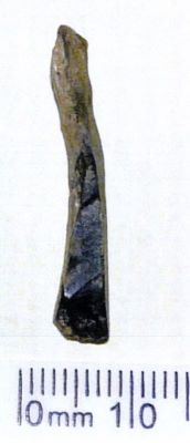lamă; Lamelle