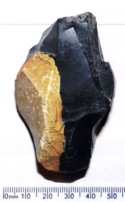 Nucleus