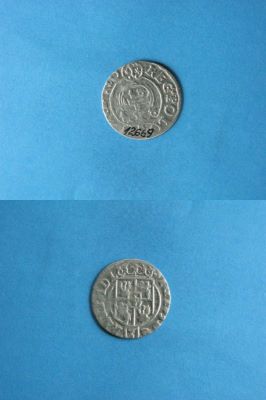 poltură 1624