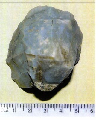 Nucleus