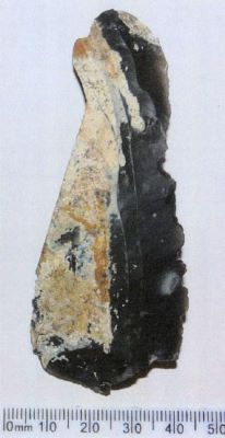 așchie; Lame corticale denticulée