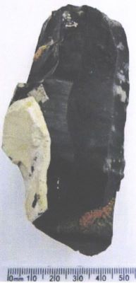 Nucleus fragm.