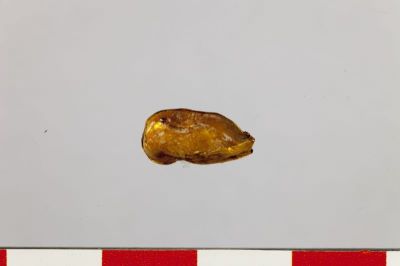 aplică