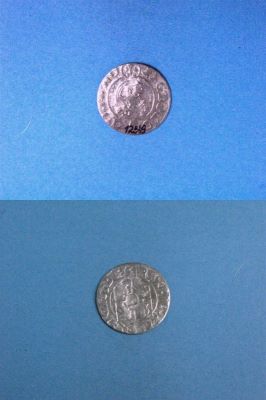 poltură 1624