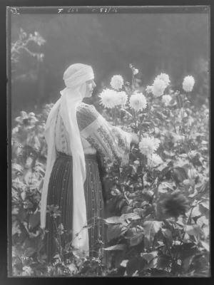 clișeu - Emil Fischer; Regina Maria culegând flori