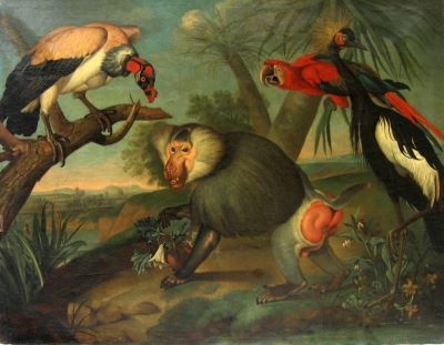 pictură de șevalet - Hamilton, Philipp Ferdinand; Animale exotice