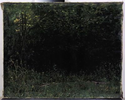 pictură de șevalet - Verona (Garguromin), Arthur; Interior de pădure