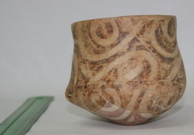 Cupă