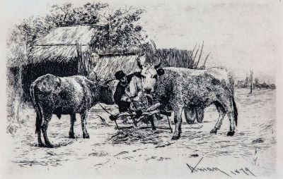 gravură - Aman, Theodor; Înjugatul boilor