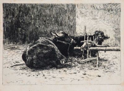 gravură - Aman, Theodor; Bivoli