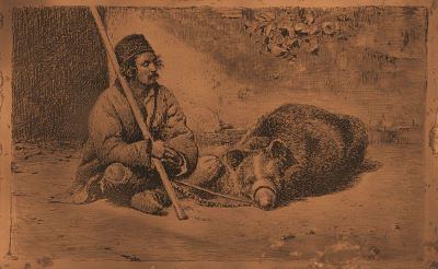 gravură - Aman, Theodor; Ursarul