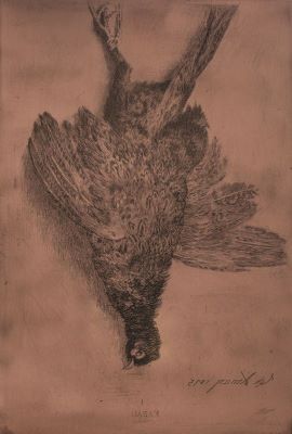 gravură - Aman, Theodor; Fazan