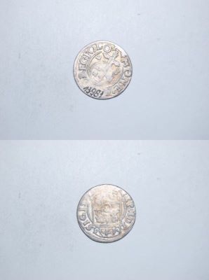 poltură 1623
