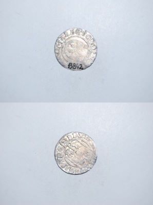 poltură 1624