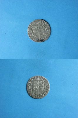 poltură 1624