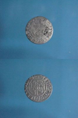 poltură 1624